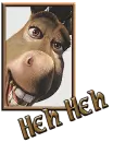 Donkey from the movie Shreck