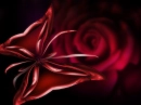 Red Butterfly Rose