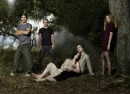 Twilight cast.