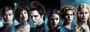 twilight cast