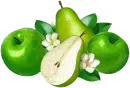 apples and pears