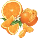 oranges