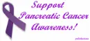 Pancreatic Cancer Awareness Ribbon