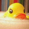 Rubber Ducky