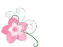 Plumeria