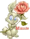 request name,Minnie