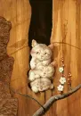 cute cat