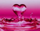 Dripping Love