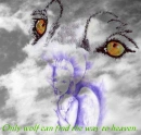 angel&wolf