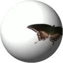 Flying