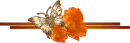 Fly