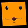 face