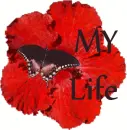 My