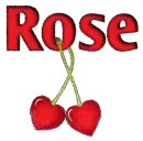 cherries rose