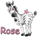 zebra rose