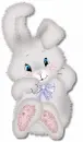 Cute Bunny