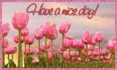 Have a nice day!