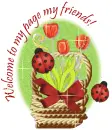 Welcome to my page
