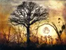 Beautiful Moon