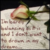 rose and book