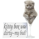 kitty box was dirty, my bad!
