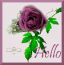 Violet
