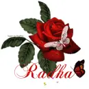 Big rose with name