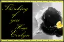 Evelyn-Thinking of you