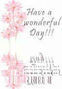 Wonderful