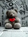 teddy