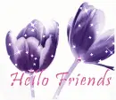  Hello