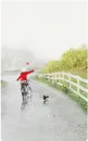 rainy day