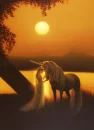 enchanted evening