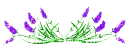 Sparkly flower dividers