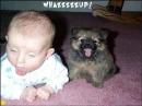 Whazzup?!