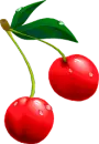 yummy cherry