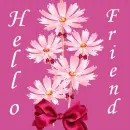 Hello