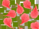 A  flower and leaf
