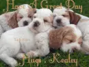 HAVE A GREAT DAY HUGS KEALEY