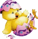 chick hatching