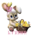 Baby Bunny