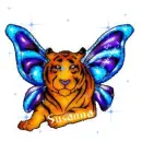 Tiger Susanna