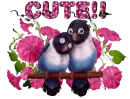 Cute