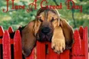 HAVE A GREAT DAY