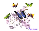 SOME
