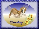 Sunday