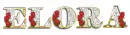 Diamond name w/roses