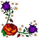 Flower Border