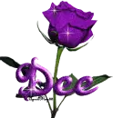 purple rose dee