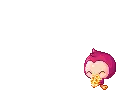 DOLL FLOWERS  